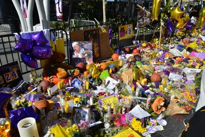 DSC_7187 (Large).JPG